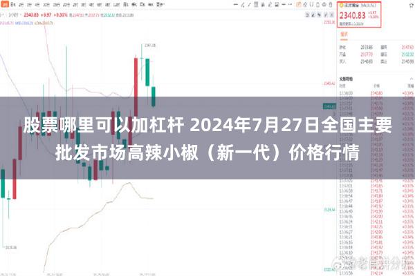 股票哪里可以加杠杆 2024年7月27日全国主要批发市场高辣小椒（新一代）价格行情