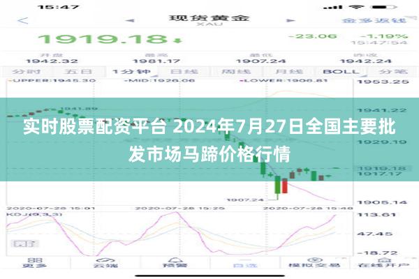 实时股票配资平台 2024年7月27日全国主要批发市场马蹄价格行情