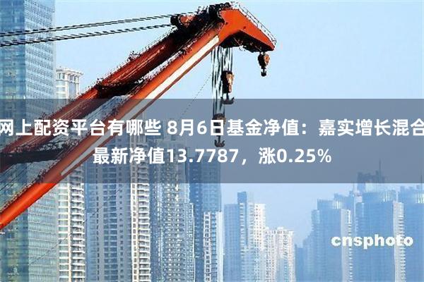 网上配资平台有哪些 8月6日基金净值：嘉实增长混合最新净值13.7787，涨0.25%