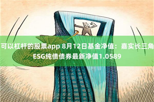 可以杠杆的股票app 8月12日基金净值：嘉实长三角ESG纯债债券最新净值1.0589