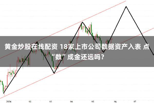 黄金炒股在线配资 18家上市公司数据资产入表 点“数”成金还远吗？