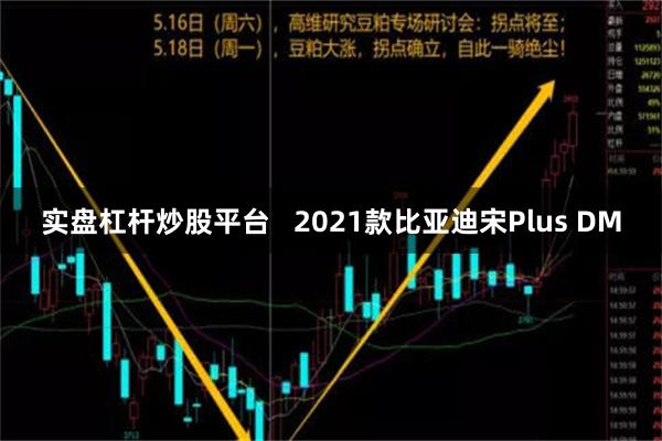 实盘杠杆炒股平台   2021款比亚迪宋Plus DM