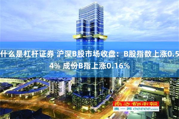 什么是杠杆证券 沪深B股市场收盘：B股指数上涨0.54% 成份B指上涨0.16%