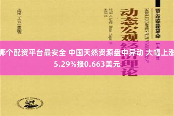 哪个配资平台最安全 中国天然资源盘中异动 大幅上涨5.29%报0.663美元