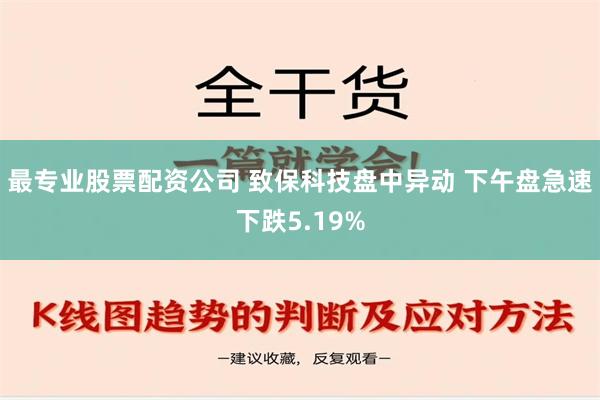 最专业股票配资公司 致保科技盘中异动 下午盘急速下跌5.19%