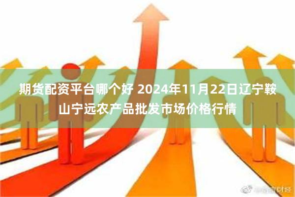 期货配资平台哪个好 2024年11月22日辽宁鞍山宁远农产品批发市场价格行情