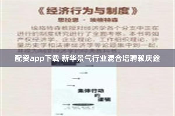 配资app下载 新华景气行业混合增聘赖庆鑫