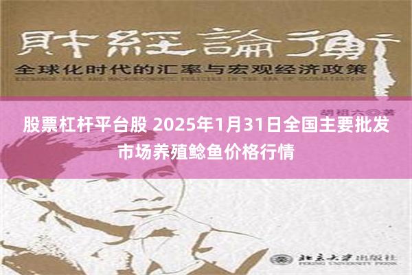 股票杠杆平台股 2025年1月31日全国主要批发市场养殖鲶鱼价格行情